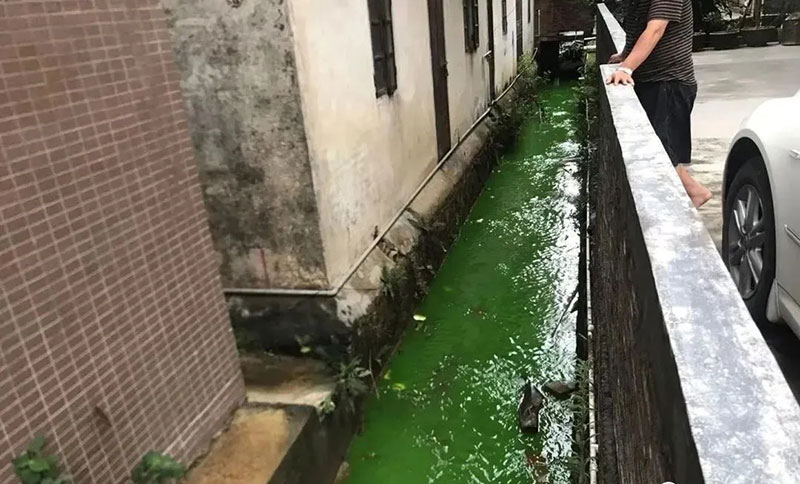 觸目驚心！水全都“染綠”了！多家企業被查處！